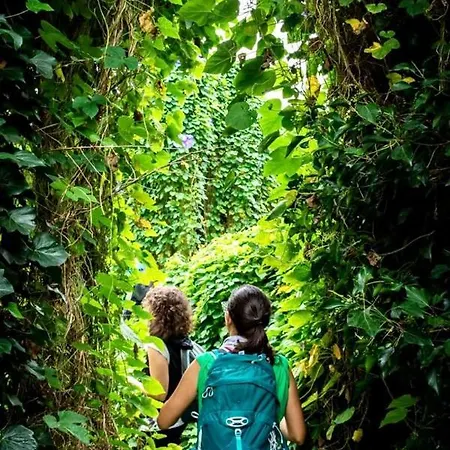 Frühstückspension Acquamarina *