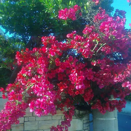 Frühstückspension Acquamarina