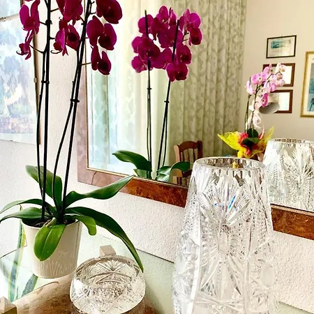 Acquamarina Bed and breakfast