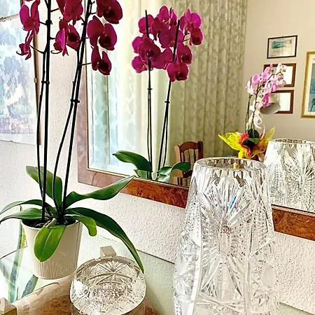 Bed & Breakfast Acquamarina